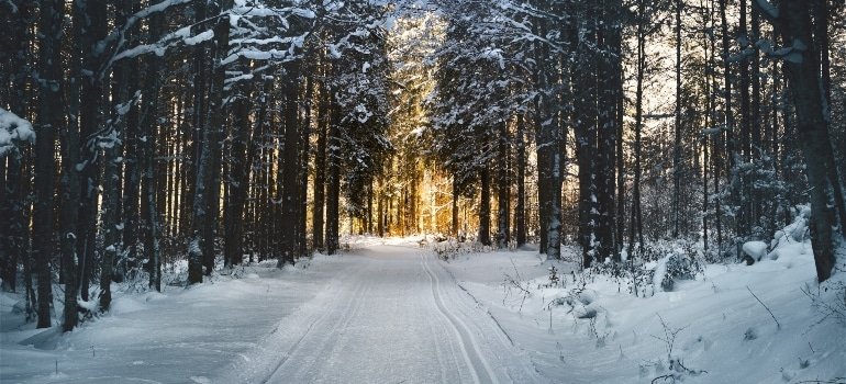 Winter is cheaper for family relocation to Dover